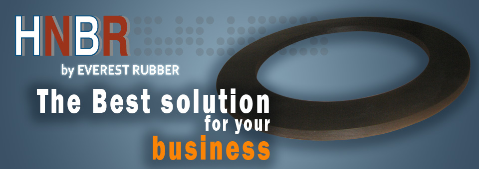 HNBR viton